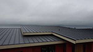 Best Hot Roofs  in Prudhoe Bay, AK